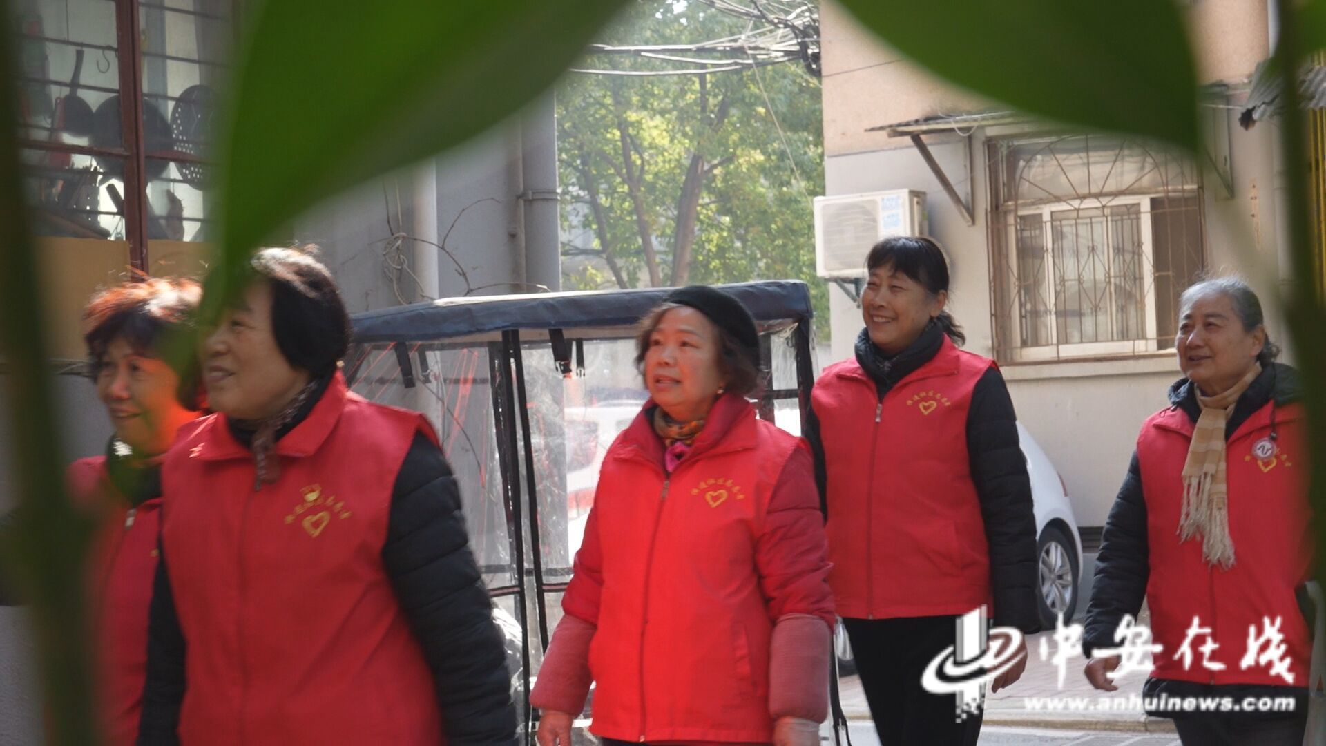 察｜“窗帘之约”的无声守护尊龙AG人生就是博中安观